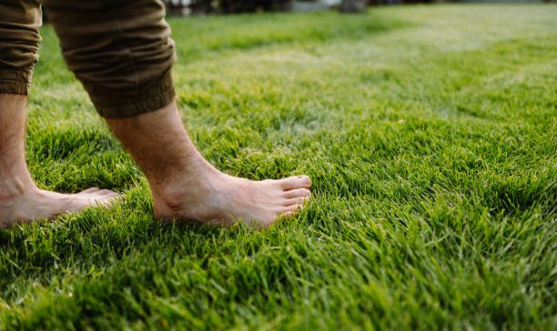 Grounding and Grace: How Getting Outside Can Connect You to God